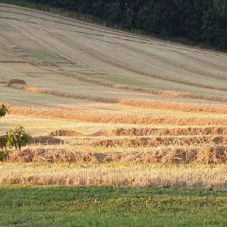 Hébergement de vacances Les Cyprès De Crose Ii