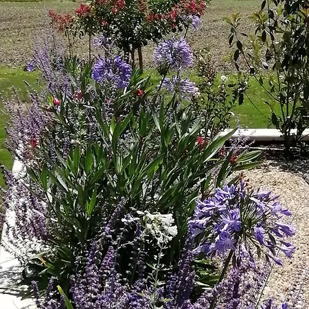 Hébergement de vacances Les Cyprès De Crose Ii Issigeac